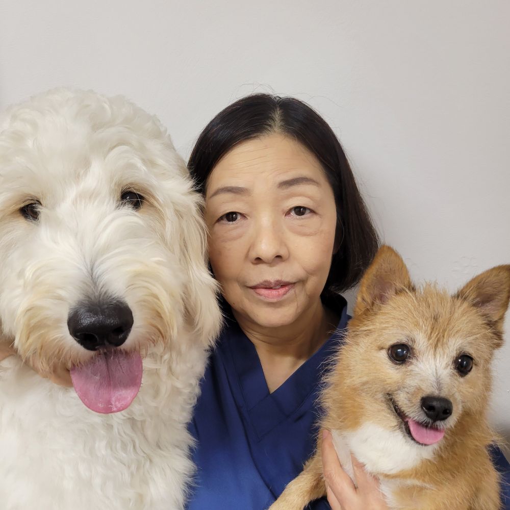 院長 畠山 恵子