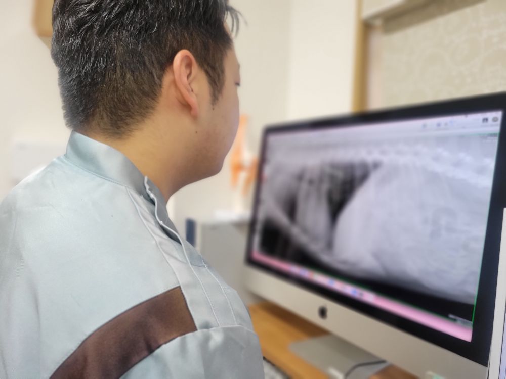 Ｘ線検査でわかること