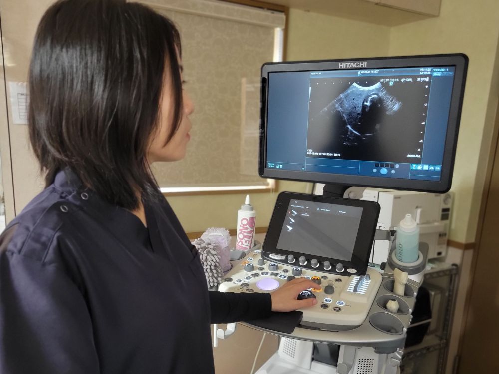 超音波検査でわかること
